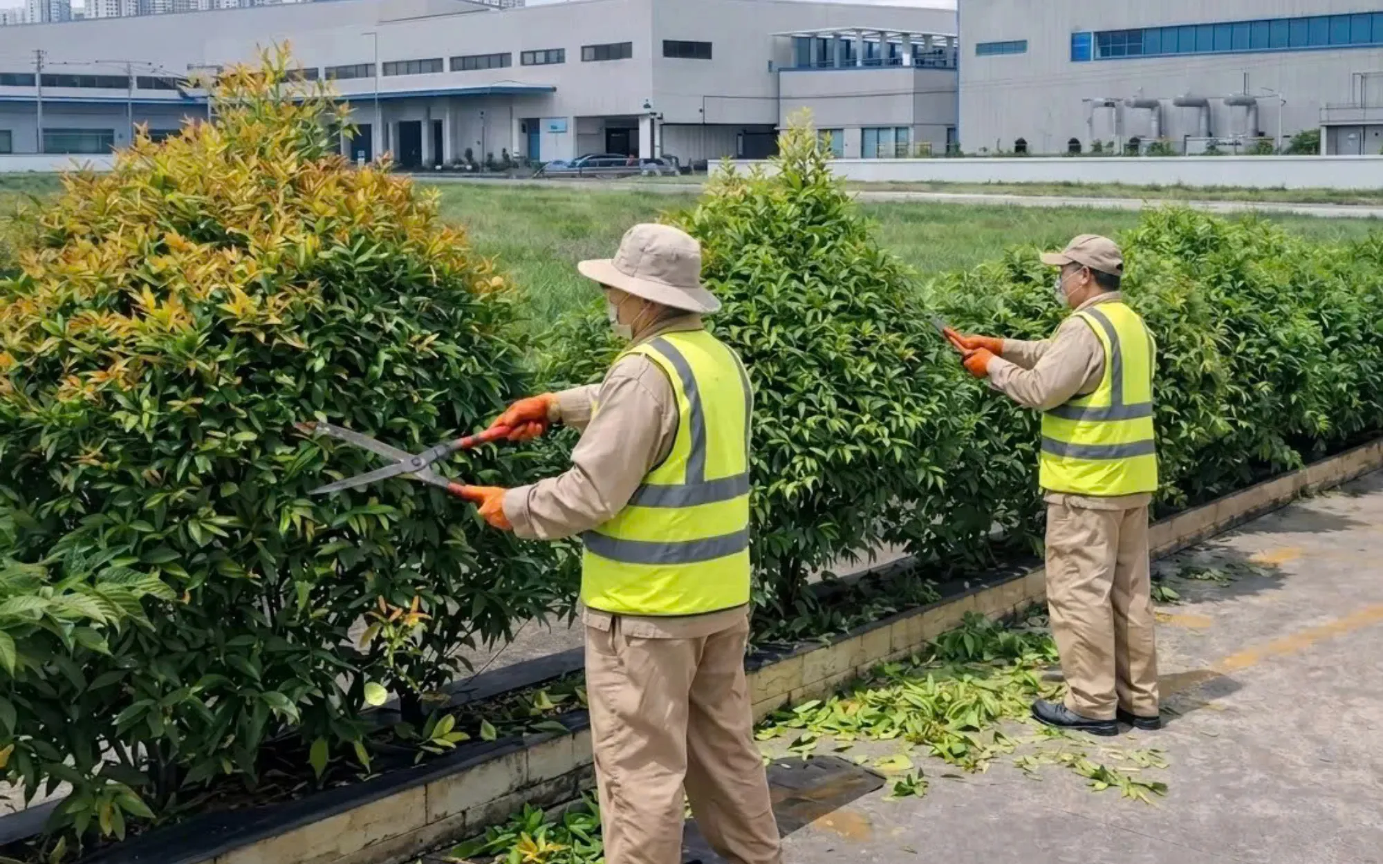 Landscape care